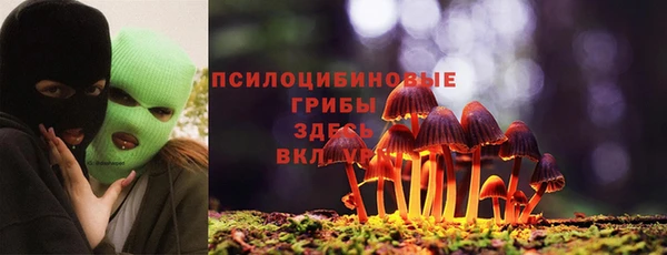 а пвп мука Богородск