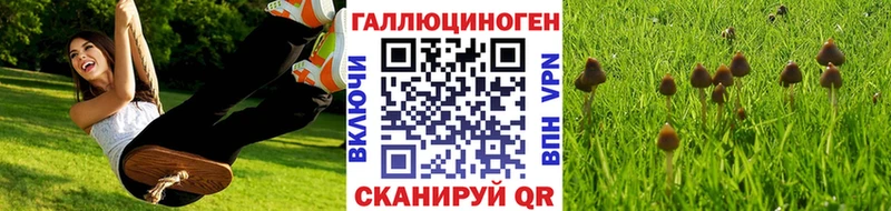 Галлюциногенные грибы прущие грибы  закладка  Тамбов 